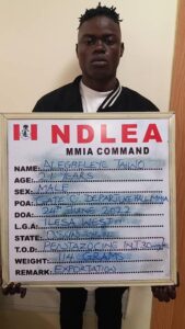 NDLLEA Arrests Brazilian Returnee With Cocaine In Private Part, Seizes London-Bound Meth Consignments At Lagos Airport, Imo
