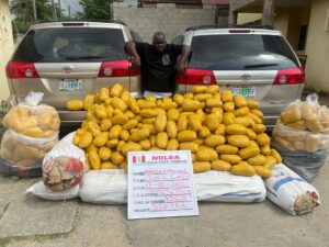 NDLEA Arrests 4 Wanted Kingpins Over 16 Tons Illicit Drugs In Lagos, Abuja