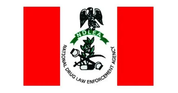 NDLEA Made No Request To Buy Sniffer Dogs In 2023 Budget