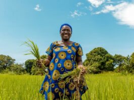 Nestlé Partners With Africa Food Prize To Strengthen Food Security And Climate Change Resilience