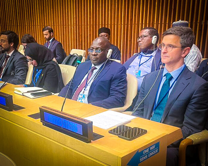 ECFIRS AT ECOSOC Meeting At United Nations ECOSOC, Nigeria Renews Call For Fair International Tax Practices