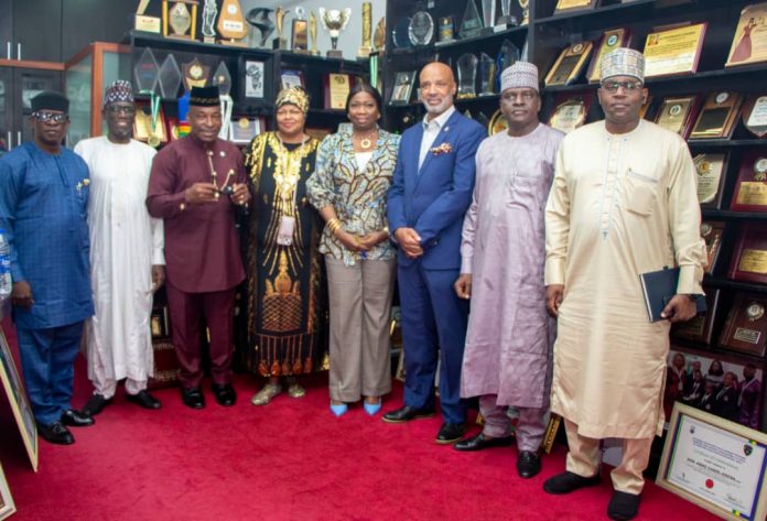 Dabiri-Erewa Urges African Diaspora To Invest In Africa