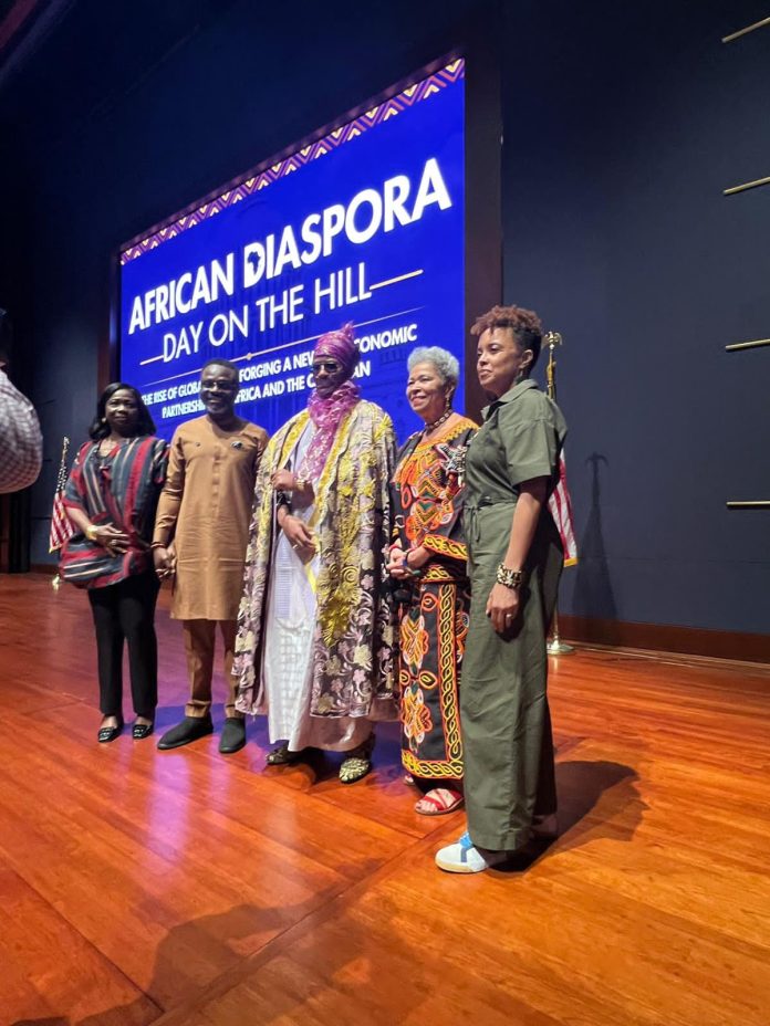 Dabiri-Erewa Hails Diaspora Contributions To National Development