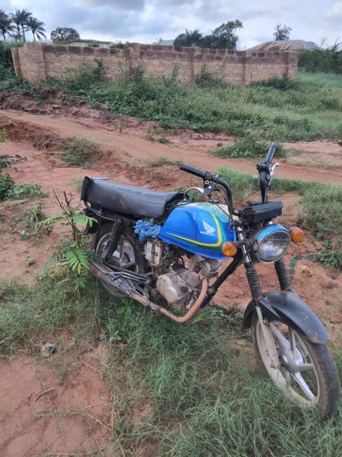 WhatsApp Image 2025-08-15 at 2.10.46 PM