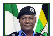 Police Foil Cattle Rustling Attempt in Kebbi, Recover 33 Cows, Neutralise Suspect