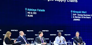 NLNG Urges Global Gas Industry To Make Methane Reduction Business Priority